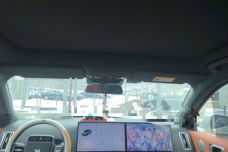 Used Li Auto L6 2024 Pro Model Headliner