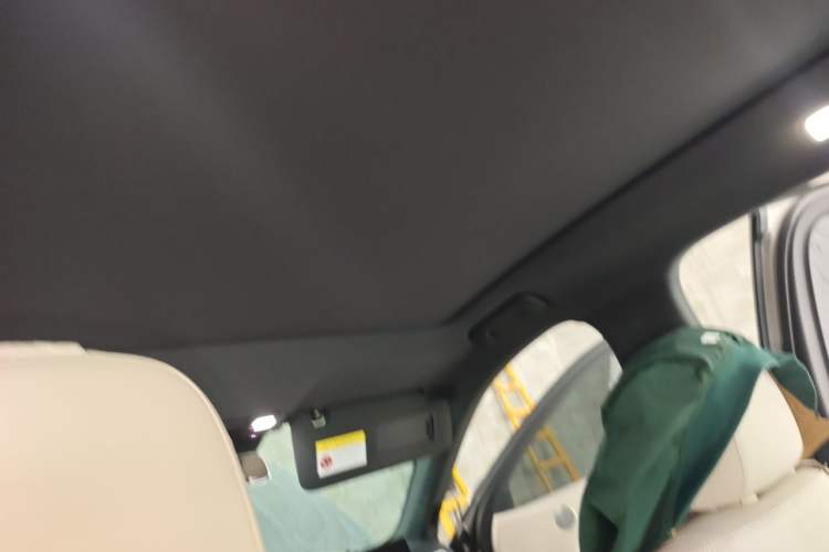 Used Li Auto L6 2024 Pro Model Headliner