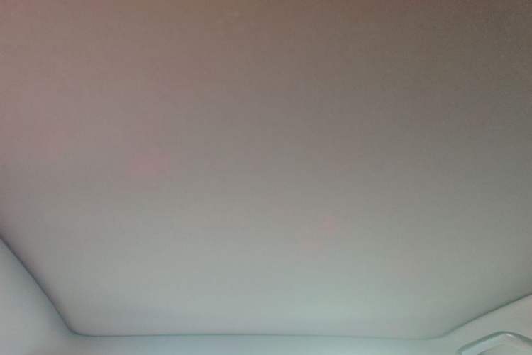 Used Li Auto L6 2024 Pro Model Headliner