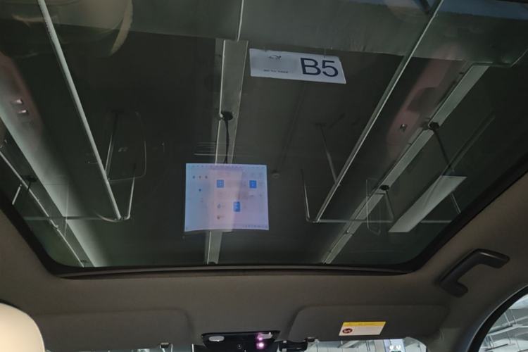 Used Li Auto L6 2024 Pro Model Headliner