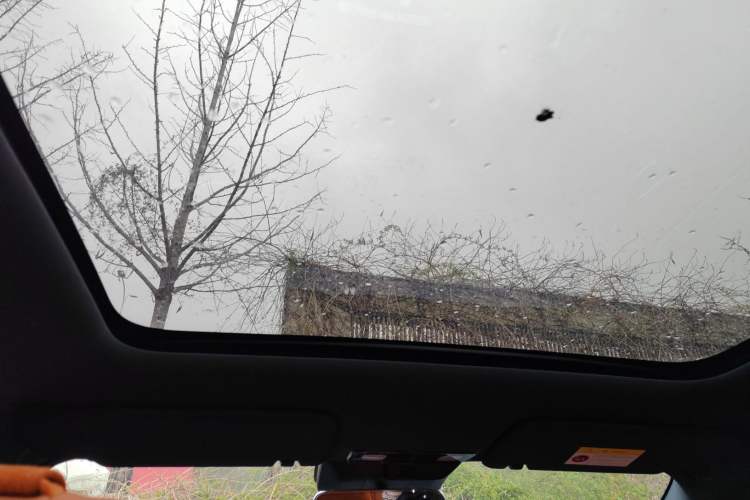 Used Li Auto L6 2024 Pro Model Headliner