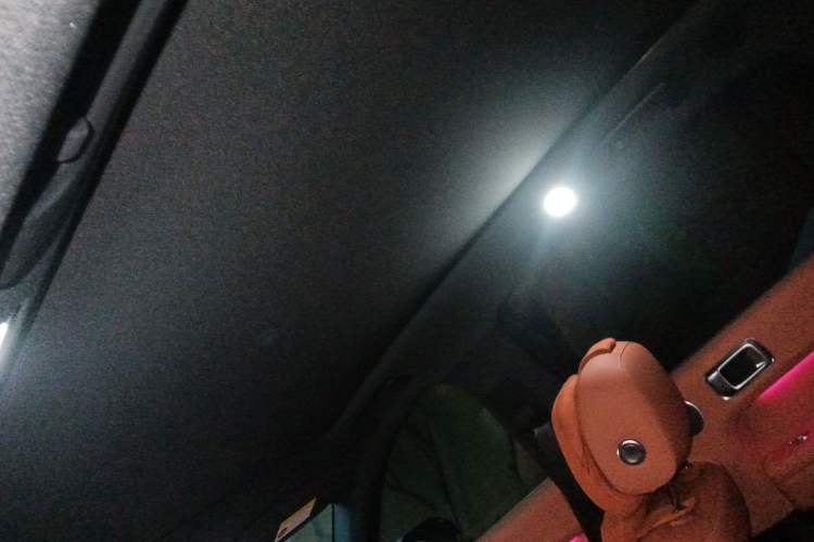 Used Li Auto L6 2024 Max Headliner