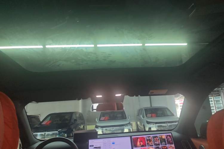 Used Li Auto L6 2024 Pro Model Headliner