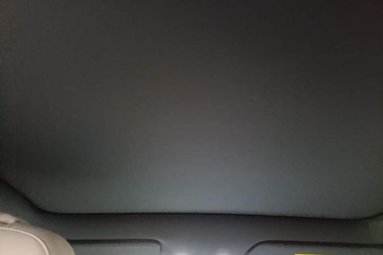 Used Li Auto L6 2024 Pro Model Headliner