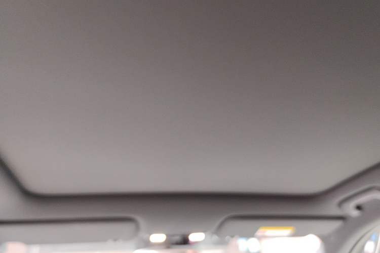 Used Li Auto L6 2024 Pro Model Headliner
