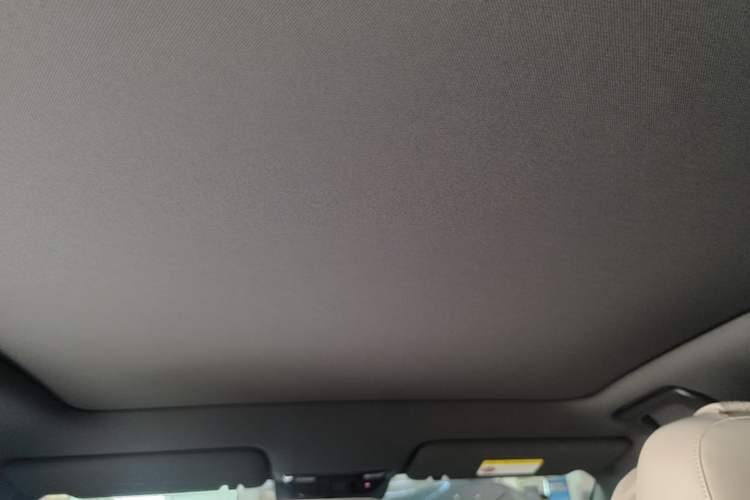 Used Li Auto L6 2024 Pro Model Headliner