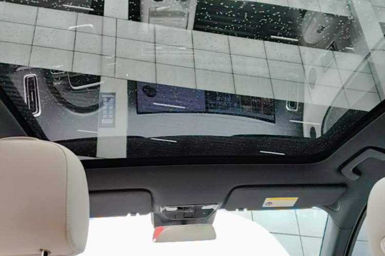 Used Li Auto L6 2024 Pro Model Headliner