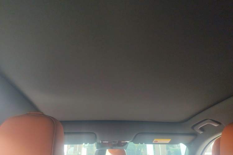 Used Li Auto L6 2024 Pro Model Headliner