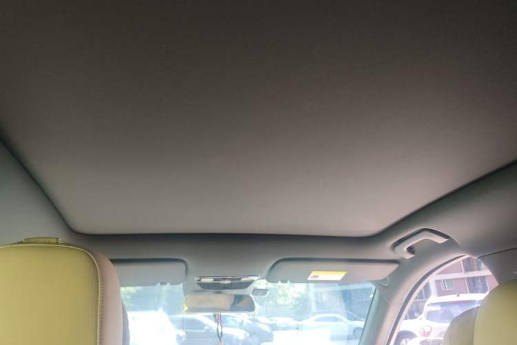Used Li Auto L6 2024 Pro Model Headliner