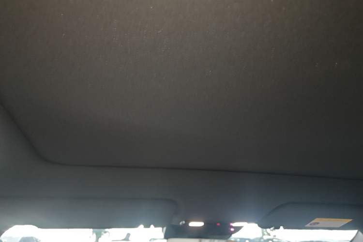 Used Li Auto L6 2024 Pro Model Headliner