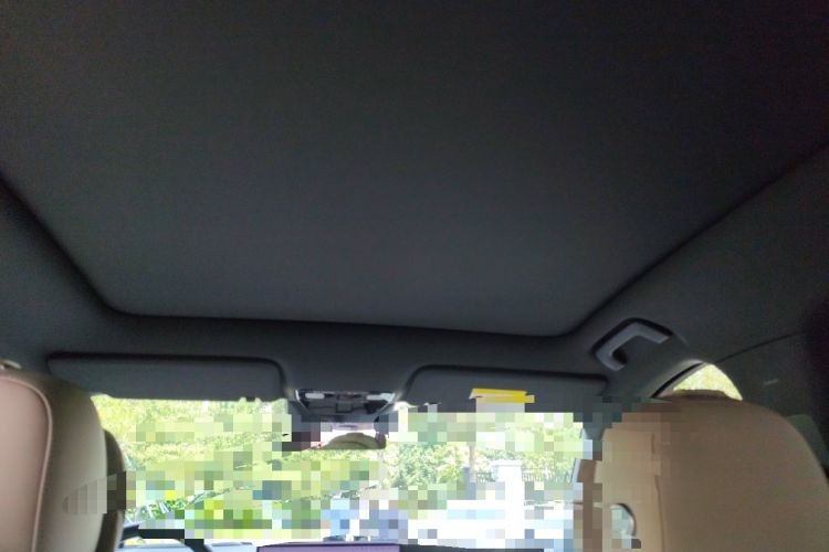 Used Li Auto L6 2024 Pro Model Headliner