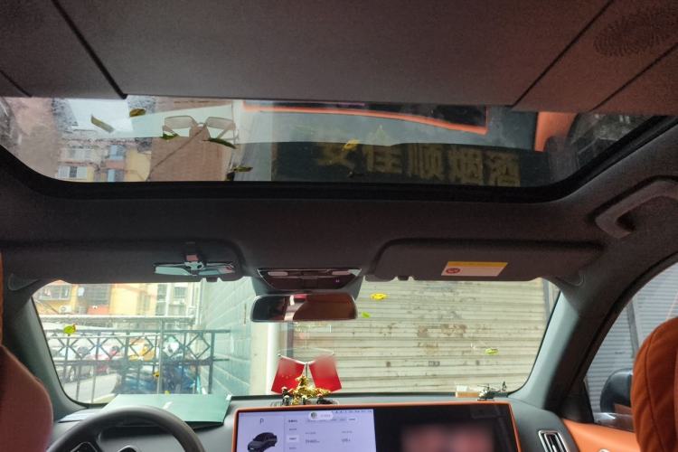 Used Li Auto L6 2024 Pro Model Headliner
