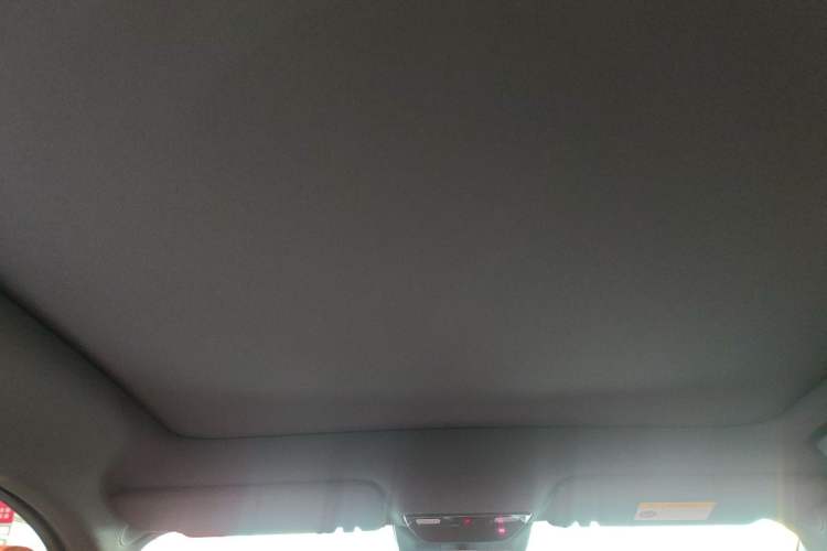 Used Li Auto L6 2024 Pro Model Headliner