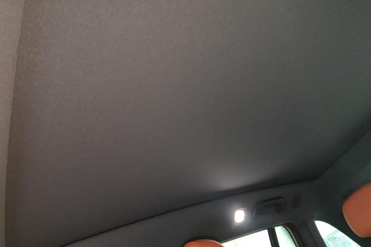 Used Li Auto L6 2024 Pro Model Headliner