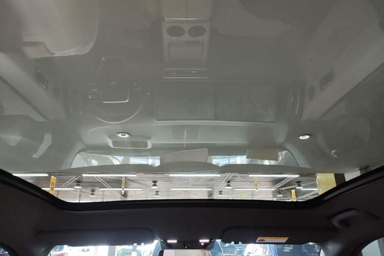 Used Li Auto L6 2024 Pro Model Headliner