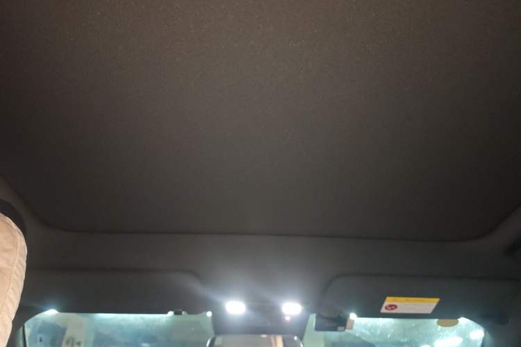 Used Li Auto L6 2024 Pro Model Headliner