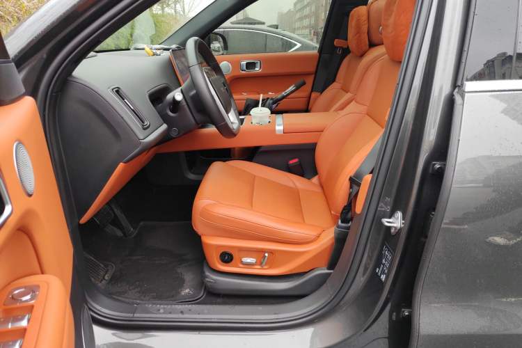 Used Li Auto L6 2024 Pro Model Left Front Seat