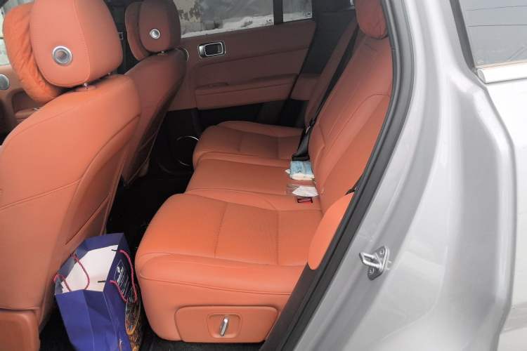 Used Li Auto L6 2024 Pro Model Left Rear Seat