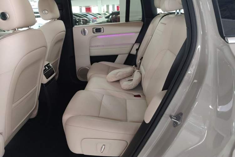 Used Li Auto L6 2024 Max Left Rear Seat