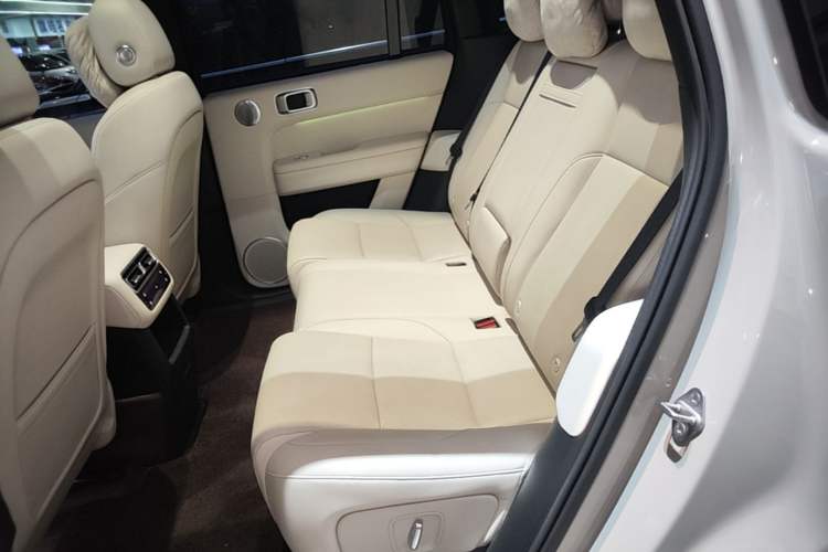 Used Li Auto L6 2024 Pro Model Left Rear Seat