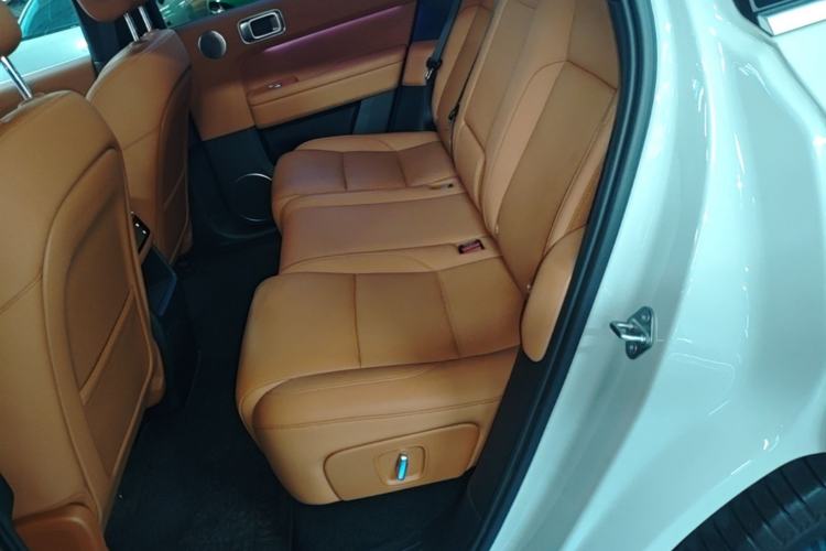 Used Li Auto L6 2024 Pro Model Left Rear Seat