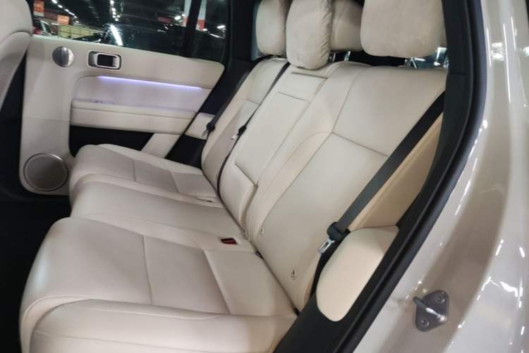 Used Li Auto L6 2024 Pro Model Left Rear Seat