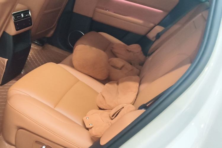 Used Li Auto L6 2024 Pro Model Left Rear Seat