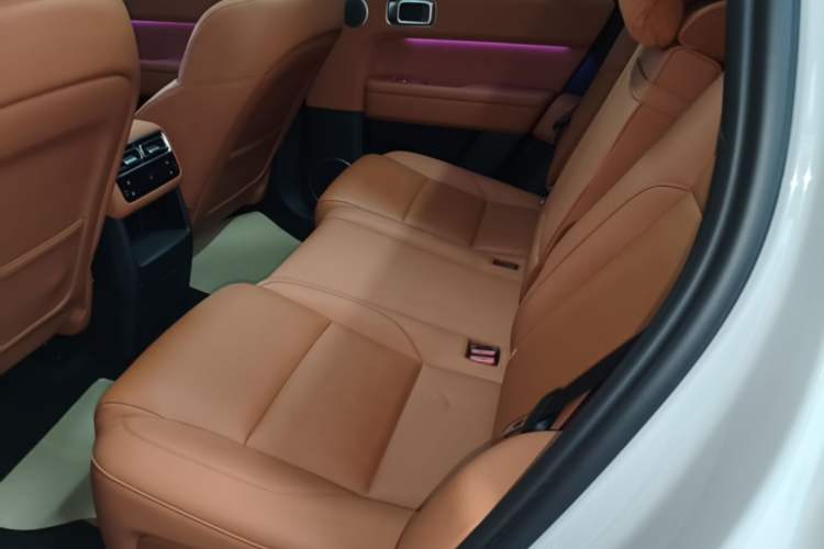 Used Li Auto L6 2024 Pro Model Left Rear Seat