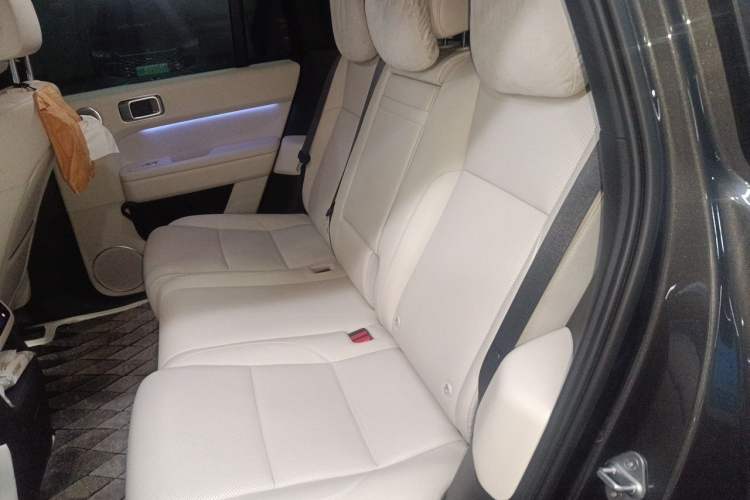 Used Li Auto L6 2024 Pro Model Left Rear Seat