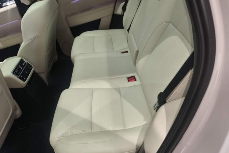 Used Li Auto L6 2024 Max Left Rear Seat