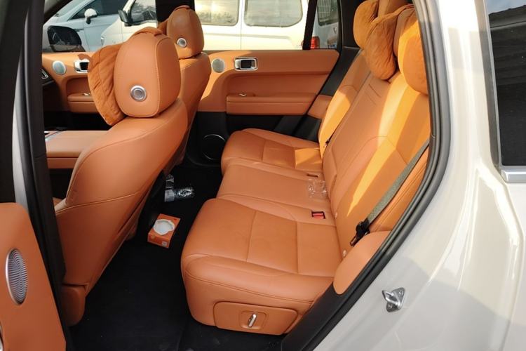 Used Li Auto L6 2024 Pro Model Left Rear Seat