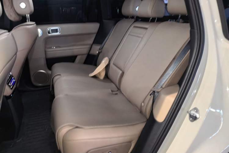 Used Li Auto L6 2024 Pro Model Left Rear Seat