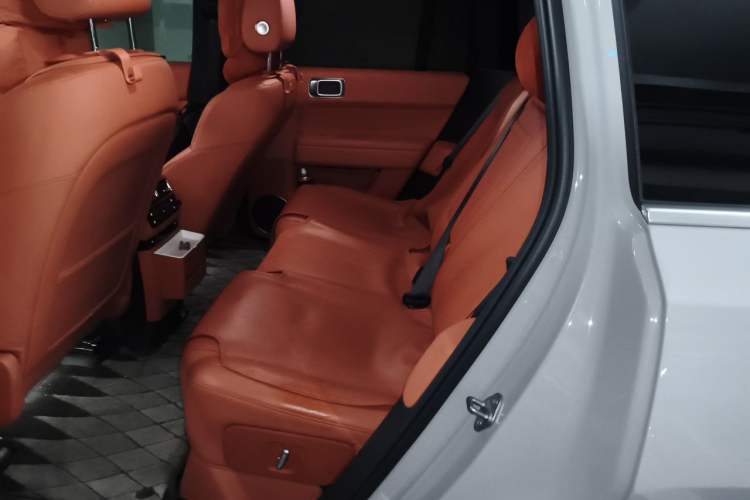 Used Li Auto L6 2024 Max Left Rear Seat