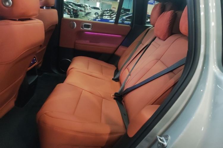 Used Li Auto L6 2024 Pro Model Left Rear Seat