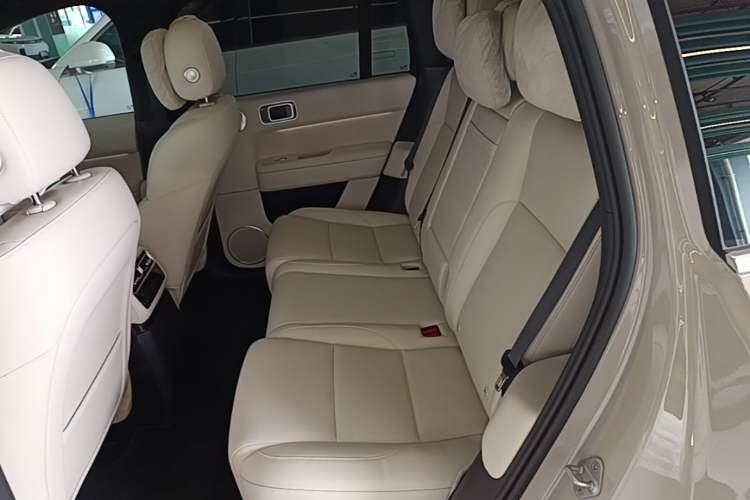 Used Li Auto L6 2024 Max Left Rear Seat