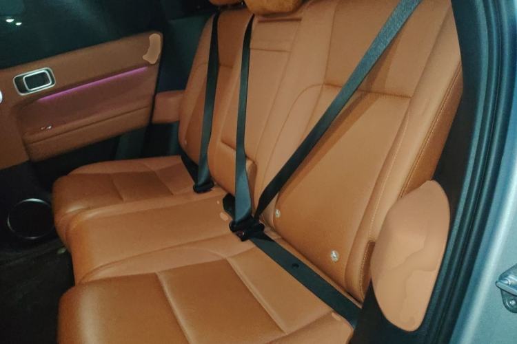 Used Li Auto L6 2024 Max Left Rear Seat