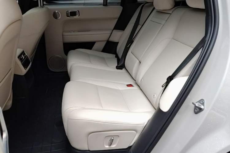 Used Li Auto L6 2024 Pro Model Left Rear Seat