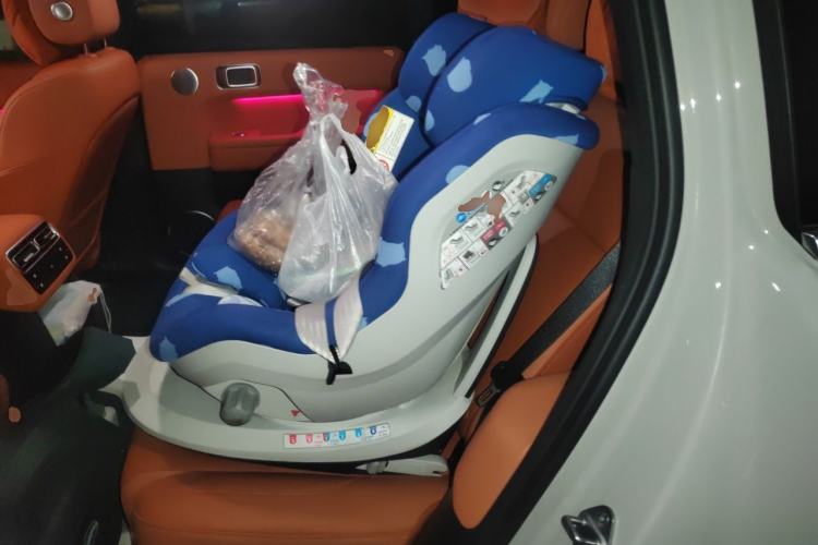 Used Li Auto L6 2024 Pro Model Left Rear Seat