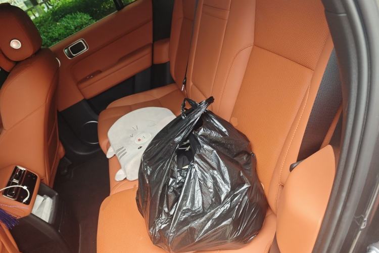 Used Li Auto L6 2024 Pro Model Left Rear Seat