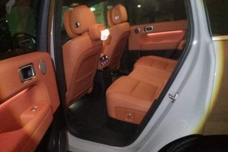 Used Li Auto L6 2024 Max Left Rear Seat
