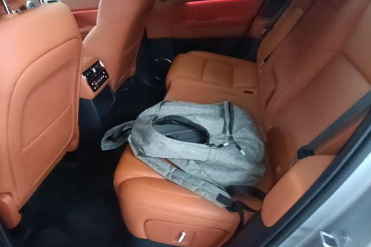 Used Li Auto L6 2024 Pro Model Left Rear Seat