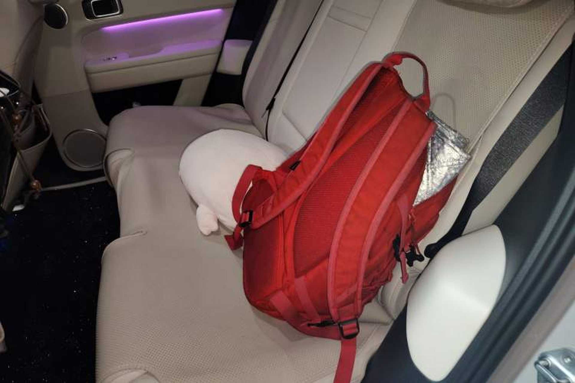 Used Li Auto L6 2024 Pro Model Left Rear Seat