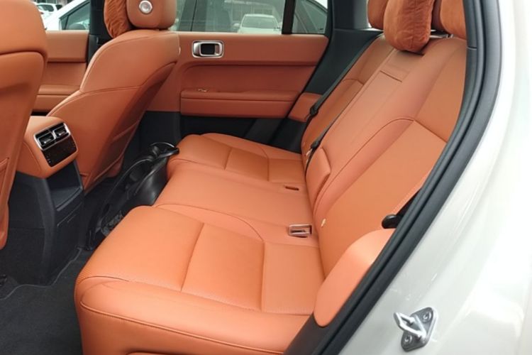Used Li Auto L6 2024 Pro Model Left Rear Seat