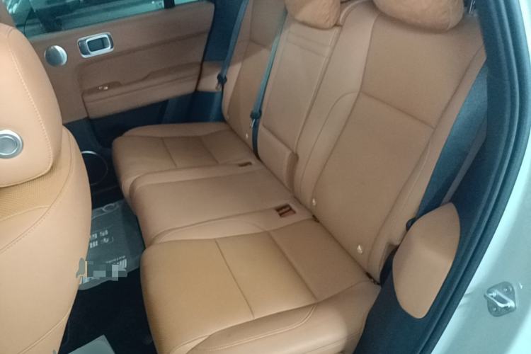 Used Li Auto L6 2024 Max Left Rear Seat