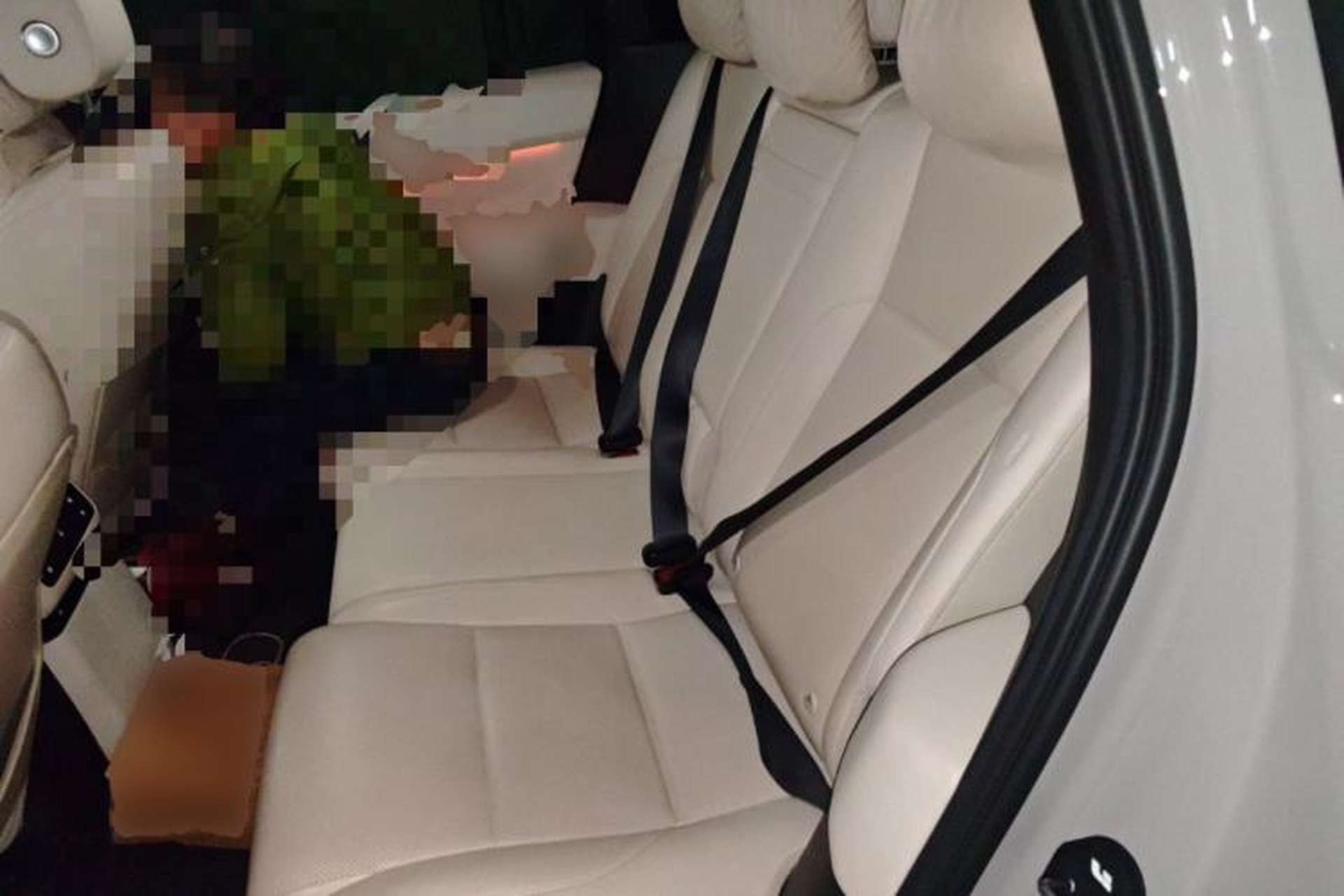 Used Li Auto L6 2024 Max Left Rear Seat