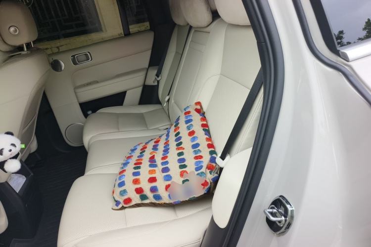 Used Li Auto L6 2024 Pro Model Left Rear Seat