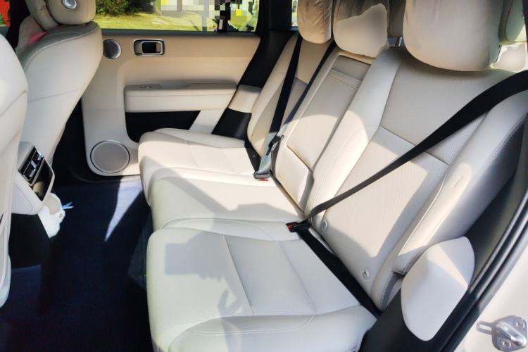 Used Li Auto L6 2024 Pro Model Left Rear Seat