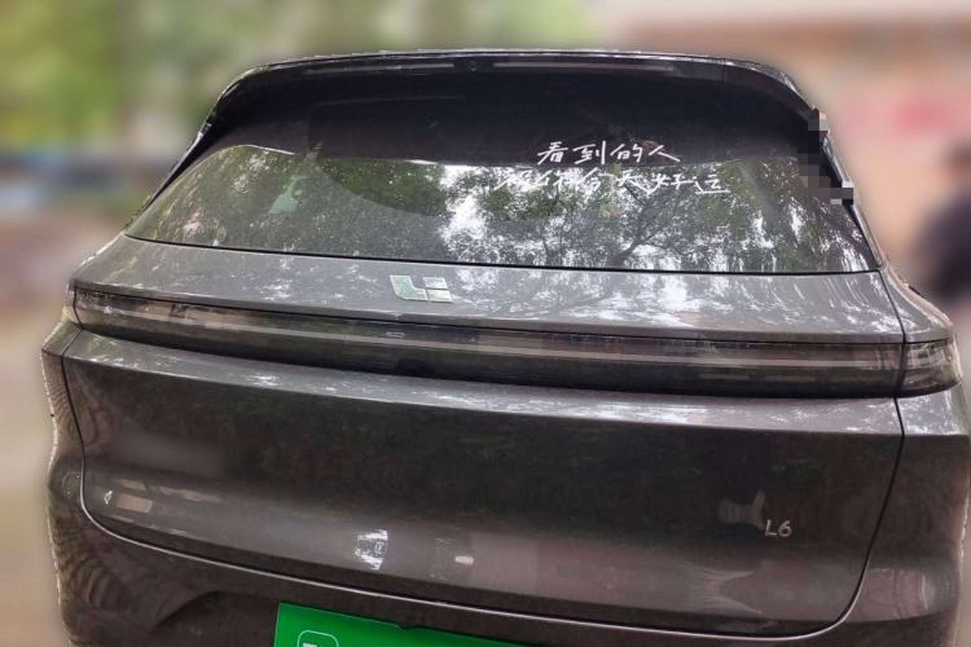 Used Li Auto L6 2024 Max Rear