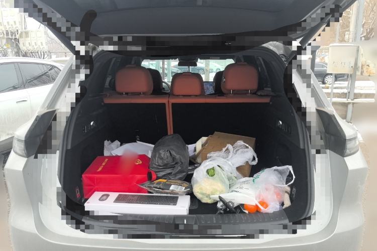 Used Li Auto L6 2024 Pro Model Trunk