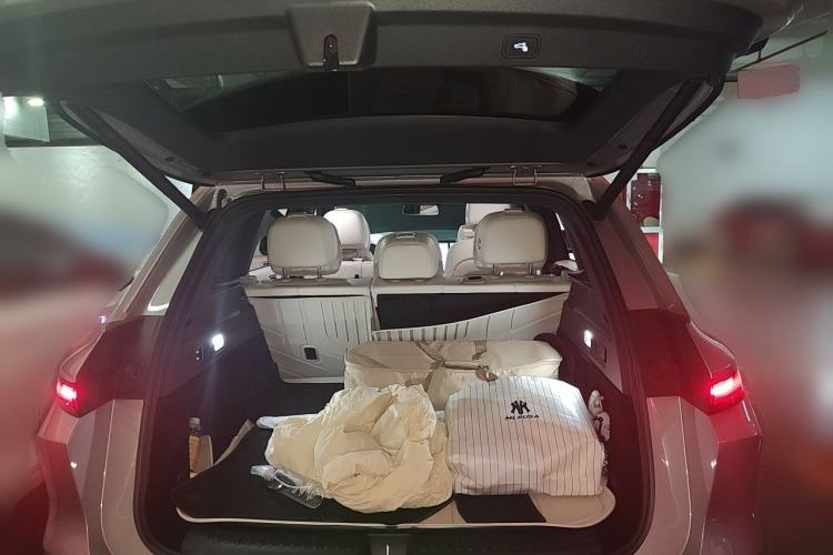 Used Li Auto L6 2024 Pro Model Trunk